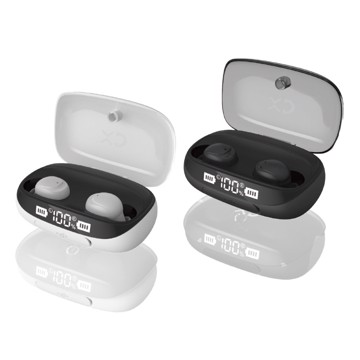 Dual mini earbuds